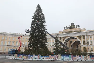 Второй год подряд в Питере - живая ёлка на Дворцовой
