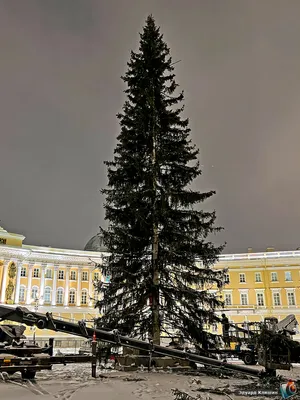 На Дворцовой площади Петербурга с 23 декабря начнут показывать световое шоу  - РИА Новости, 19.12.2023