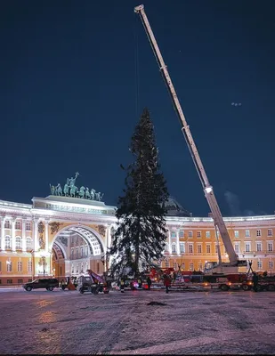 В Петербурге рассказали, какой будет елка на Дворцовой площади