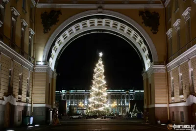 На Дворцовой площади установили главную новогоднюю елку - 12 декабря 2023 -  Петербург Онлайн
