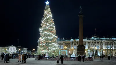 Главная новогодняя елка на Дворцовой площади в Санкт-Петербурге зажгла свои  огни - Лента новостей Бердянска