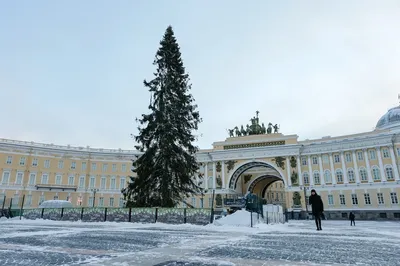 Петербуржцы удивлены внешним видом новогодней ёлки на Дворцовой площади