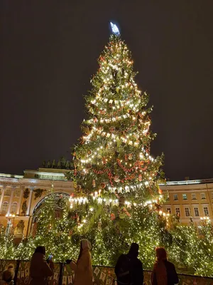 Новогодний Петербург. Живая елка на Дворцовой, гигантские мандарины у  \"Пассажа\" и многое другое | Пешком по Петербургу и не только | Дзен