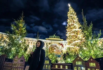 Новогоднюю елку установят на Дворцовой площади к концу декабря