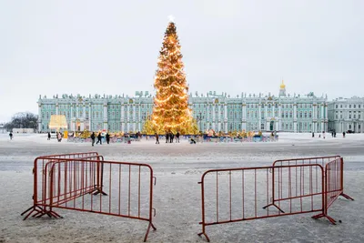 Праздник начинается: на Дворцовой площади зажглись огни на главной  новогодней ёлке города - Официальный сайт Администрации Санкт‑Петербурга