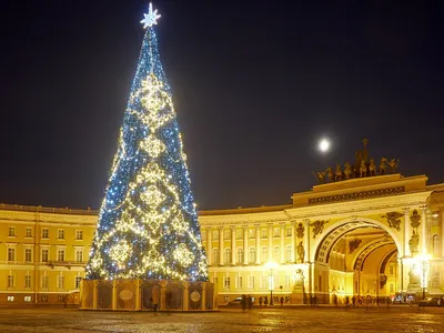 Елку на Дворцовой площади планируют установить к 19 декабря | ДОСУГ | АиФ  Санкт-Петербург
