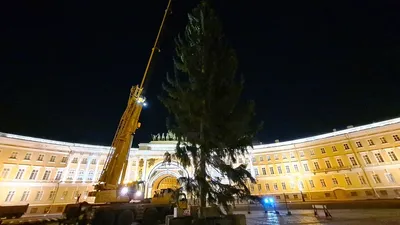 Прогулка от Дворцовой площади к Большому Гостиному двору 22 декабря 2020 |  Пикабу