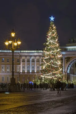 Новогодняя почта на Дворцовой площади приняла более тысячи писем от горожан  | Город | АиФ Санкт-Петербург