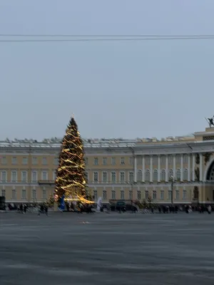 Елка на Дворцовой площади в Петербурге - 20 декабря 2023 - Фонтанка.Ру