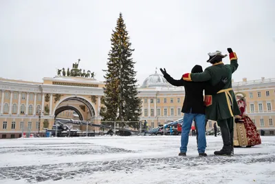 На Дворцовой площади начали разбирать главную городскую елку : ЗакС.Ру :  Новости Санкт-Петербурга