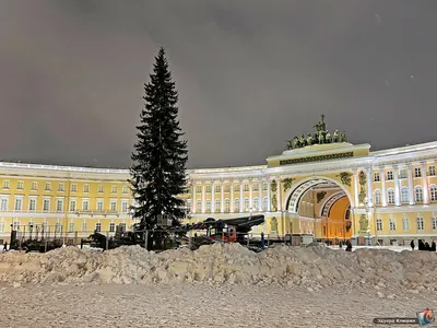 Смольный объяснил 13 млн рублей на главную ёлку на Дворцовой