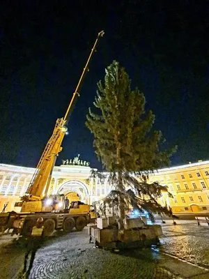 В Петербурге на 2,5 месяца закроют Дворцовую площадь для проведения  рождественской ярмарки