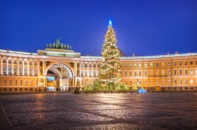 Эксперты – о новогодней елке на Дворцовой площади: «Однозначно, лучше  живая» - KP.RU