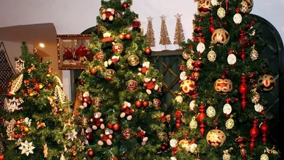 Обои елки, три, украшения, рождество, новый год, праздник картинки на рабочий  стол, фото скачать бесплатно