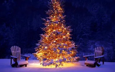 Обои новый год в деревне, елка, домики, зима, снег на рабочий стол