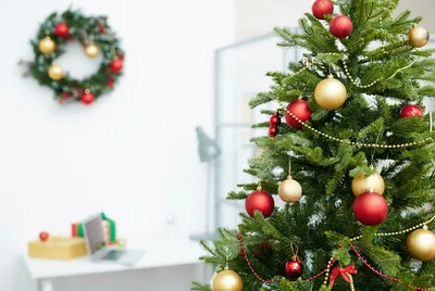 Новогодние елки (34 обоев) » Смотри Красивые Обои, Wallpapers, Красивые  обои на рабочий стол