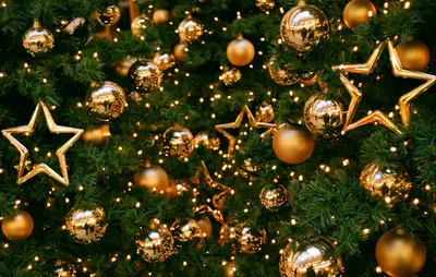 Рождественская елка Телевидение высокой четкости Рабочий стол, Рождество,  праздники, декор, рождественские украшения png | Klipartz