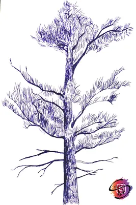 Новогодняя елка, нарисованная контуром» — создано в Шедевруме