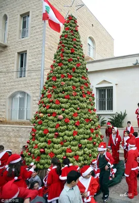 маленькая рождественская елка с красными украшениями Фон Обои Изображение  для бесплатной загрузки - Pngtree