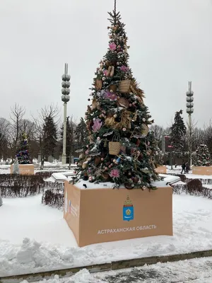 Где искать самые необычные и красивые новогодние елки в Москве |  Дегустаторы путешествий: Юля и Марк | Дзен