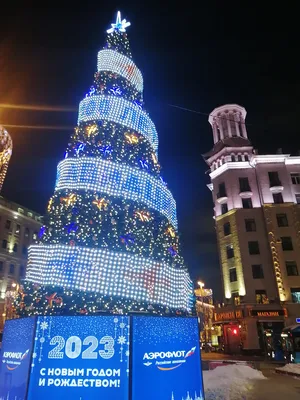 Самые необычные елки в Москве 2022-2023: с грибами, из подушек и  транспортная - KP.RU