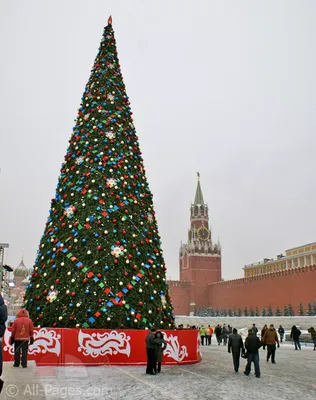 Главная новогодняя елка страны 2024