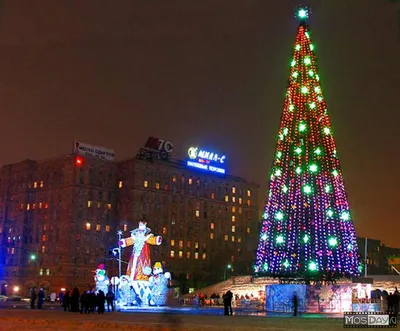 Фото елки в москве фотографии