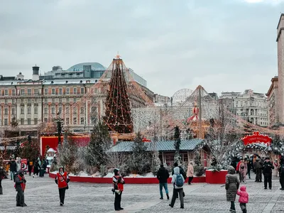 На выставке «Россия» в Москве зажглась новогодняя елка Волгоградской  области | 06.12.2023 | Волгоград - БезФормата