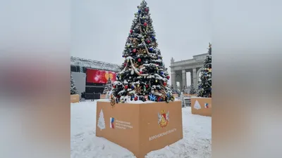 Новогодняя Москва — Фотограф Игорь Соболев