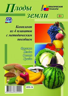 RadugaKids - производство деревянных игрушек - Лото Фрукты-Овощи-Ягоды