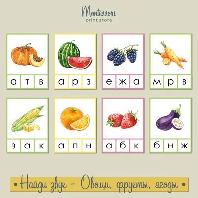 Иллюстрация 5 из 41 для Овощи, фрукты, ягоды. Что где растёт? - Людмила  Доманская | Лабиринт - книги.