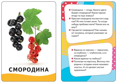 Все овощи, фрукты и ягоды быстро испортятся: как нельзя их хранить - Лента  новостей Норильска