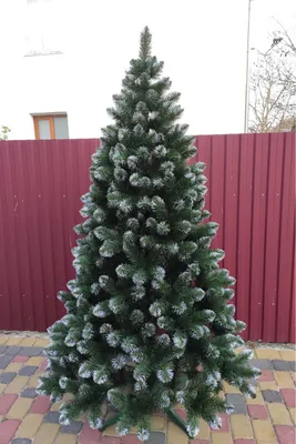 Купить искусственную елку в Украине - Искусственная елка Снежная Королева  2.00м | Искусственная ель