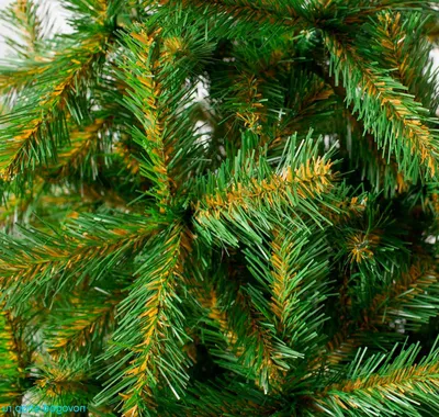 Искусственная ель - Рождественская елка Nordmann - Рождественские украшения  FairyTrees