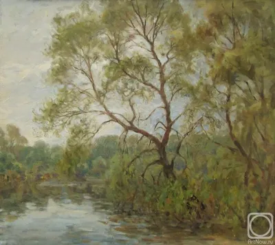 ива, дерево, листва, весна, плакучая ива, в воде, зелень, воды, растение,  зеленый цвет | Pxfuel