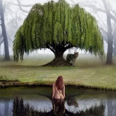 Ивы у реки Жужа в Коломенском#коломенское#ива#ивушка🌳 #природароссии # |  Instagram