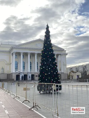 Сахалинец продает ту самую шапку Светлакова из фильма \"Ёлки\" - Новости  Сахалинской области - astv.ru