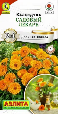 Купить семена Календула Кендимен Оранжевый — от НПО Сады Росcии