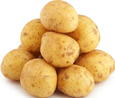 Ведро картошки с куста. 10 условий отличного урожая | PRO ОГОРОД | Дзен
