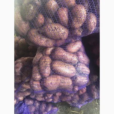 Овощная сетка мешок, мешок сетка купить в Красноярске. Звоните сейчас (391)  241-24-11 В продаже: мешок, сетка, для овощей, купить, красноярске, оптом,  в розницу, сетчатый, мешок, мешки, сетки, овощной, под овощи, опт, розница,
