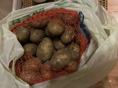 Картофель Прочие Товары сетка фас – купить онлайн, каталог товаров с ценами  интернет-магазина Лента | Москва, Санкт-Петербург, Россия