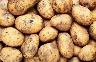 5 секретов жареной картошки