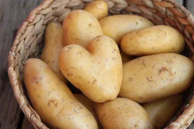 Есть картошка и яйца? Приготовьте итальянское блюдо из картошки // Ньокки  картофельные - рецепт автора Марина Майорова