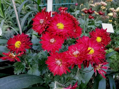 http://rasfokus.ru/photos/topday/photo4341016.html