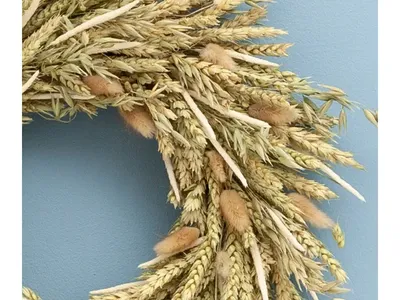 Постер (плакат) Колоски пшеницы , арт.: 35339