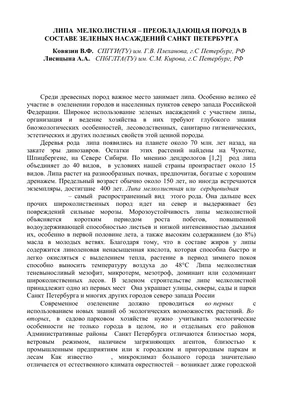 Липа-раритет 450 лет произрастает на берегу озера Тихого в Светлогорске -  Телеканал «Моя Планета»