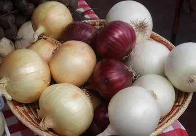 Подзимний посев лука-саженки - Good Harvest | Семена | Удобрения | Средства  защиты растений