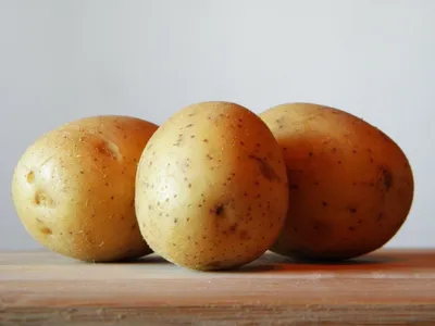 Мелкая картошка: кто виноват и что делать плюс рецепт на скорую руку —  АгроXXI