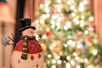 Рождественский конус крупным планом на фоне елки с боке и гирляндами,  сосновая шишка, сосна, крупным планом фон картинки и Фото для бесплатной  загрузки