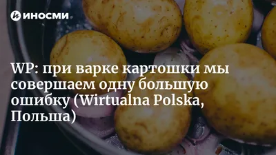 Совок для приготовления картошки фри и попкорна из нержавеющей стали,  эргономичный Совок с одной ручкой и отверстиями для кинотеатра | AliExpress
